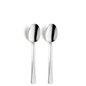 Amefa Neptune 2 Table Spoons on Hanging Card
