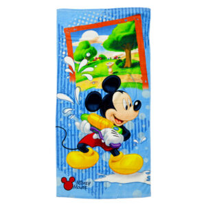 Home Range Mickey Kids Towels
