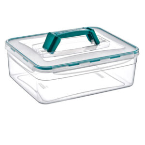 Plast Art Fresh Box With Handle 5.5L