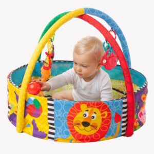 Playgro Ball Play Nest Activity Gym