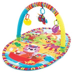 Playgro Play In The Park Gym