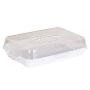 Plast Art Cake Box Rectangle Small